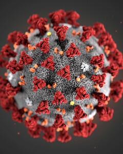 Россия на третьем месте в мире по числу заболевших коронавирусом